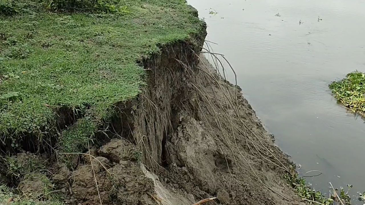 River Erosion: একটু একটু করে নদীগর্ভে ঢুকে যাচ্ছে ডাঙ্গি ফরেস্ট, বাড়িঘর বাঁচবে তো! চিন্তায় বাসিন্দারা River Erosion: একটু একটু করে নদীগর্ভে ঢুকে যাচ্ছে ডাঙ্গি ফরেস্ট, বাড়িঘর বাঁচবে তো! চিন্তায় বাসিন্দারা