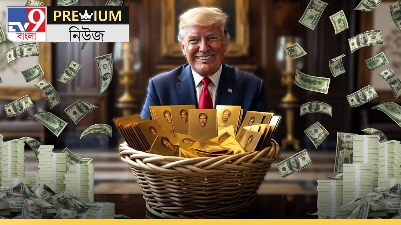 Explained: নাগরিকত্ব ফেরি করে বেড়াচ্ছেন ট্রাম্প, কত টাকা খসবে গোল্ড কার্ড পেতে?