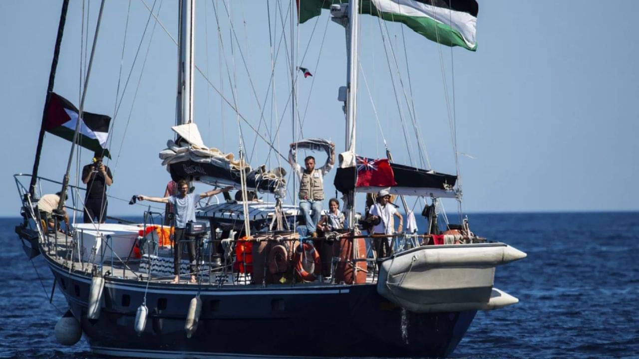 ট্রেনিংপ্রাপ্ত তিমিরাই সেদিন খবর দিল ইজরায়েলি সেনাকে! গাজায় যাওয়ার পথে যা ঘটল...