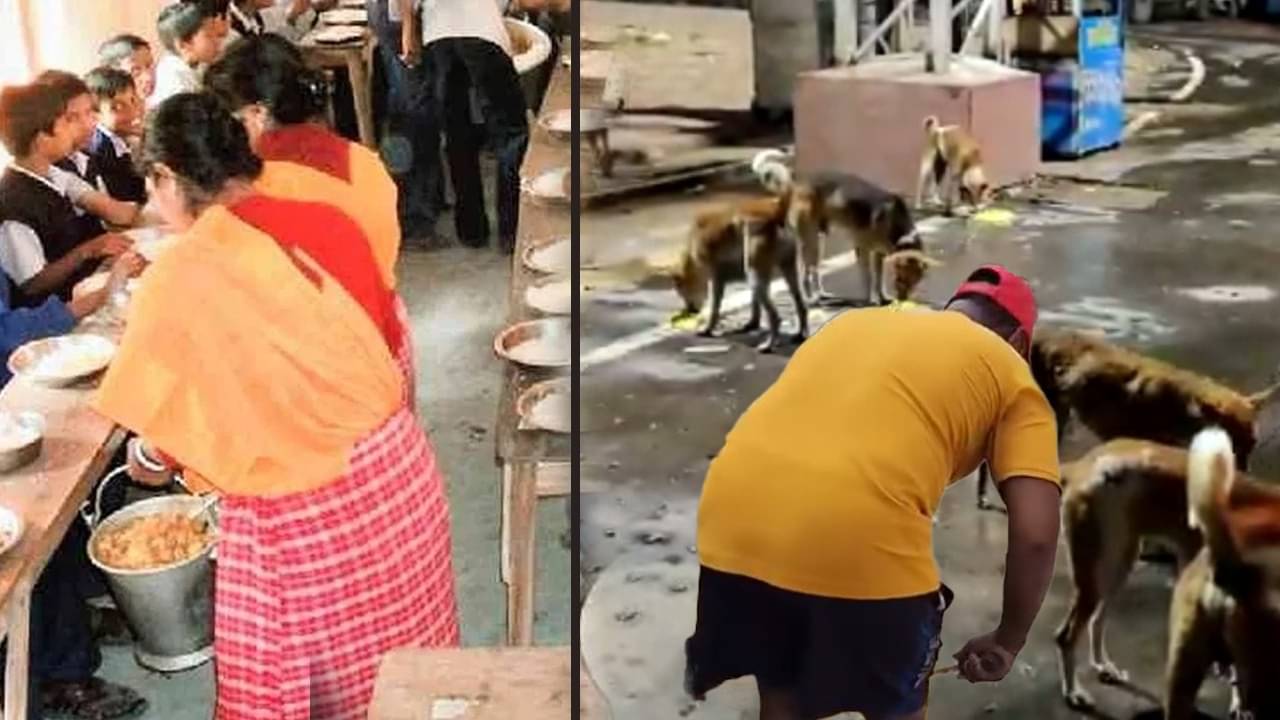 Mid Day Meal: এবার মিড-ডে-মিল পাবে পথ কুকুররাও, রাজ্যের জারি করা নির্দেশে উঠছে প্রশ্ন