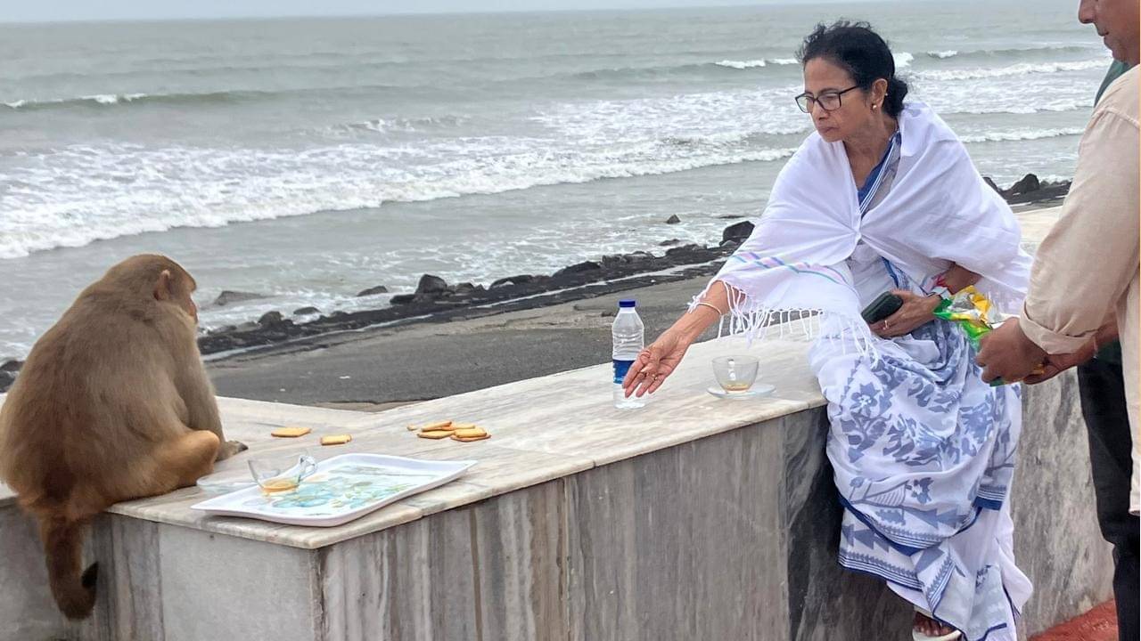 CM Mamata Banerjee: দিঘার সৈকতে অন্য মেজাজে মুখ্যমন্ত্রী, বাঁদরকে খাওয়ালেন বিস্কুট