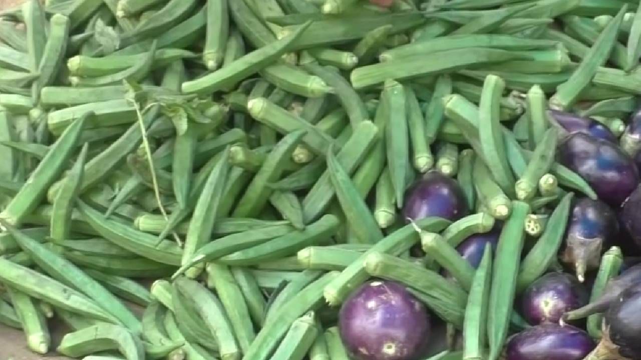Vegetable Price Hike: হঠাৎ  ঢ্যাঁড়শের দাম চড়চড়িয়ে কেন বাড়ছে?