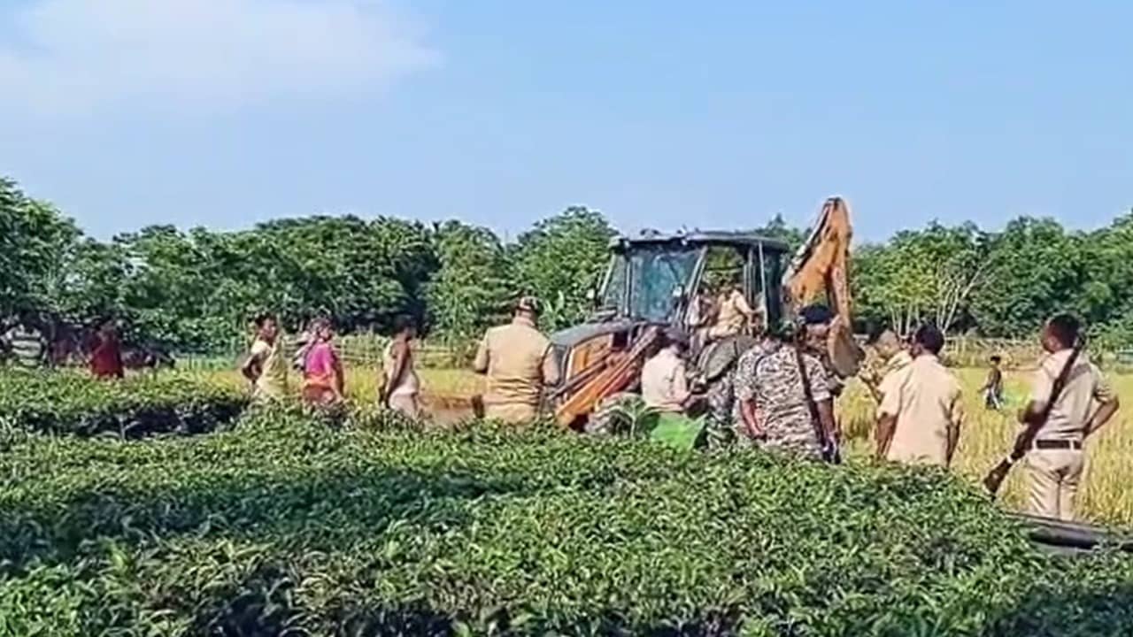 Cooch Behar: তৃণমূলের প্রধানকে টাকা না দেওয়ার খেসারত? চা বাগানে চলল জেসিবি