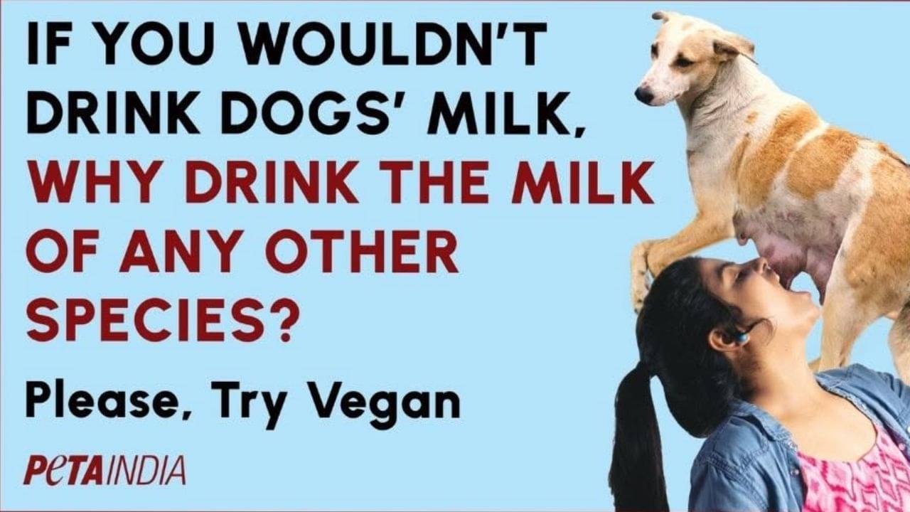 Dogs Milk: কুকুরের দুধ পান করছেন এক মহিলা! কন্টেন্ট নিয়ে সোশ্যাল মিডিয়ায় তুমুল হইচই