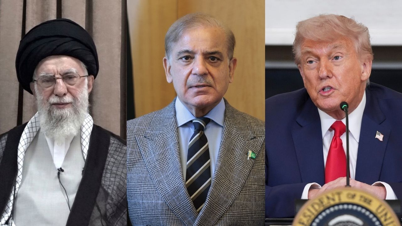 গিরগিটিও লজ্জা পাচ্ছে পাকিস্তানকে দেখে! ইরান-আমেরিকার সংঘাত নিয়ে যা করে বসল... গিরগিটিও লজ্জা পাচ্ছে পাকিস্তানকে দেখে! ইরান-আমেরিকার সংঘাত নিয়ে যা করে বসল...