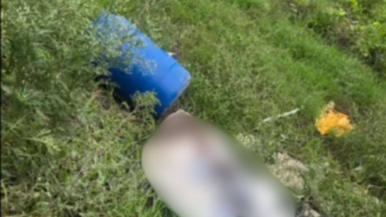 Body Recovered From Blue Drum: ফের সেই নীল ড্রাম, ঢাকনা খুলতেই বেরিয়ে এল পচা-গলা দেহ! মুসকান ছায়া এবার পঞ্জাবেও?