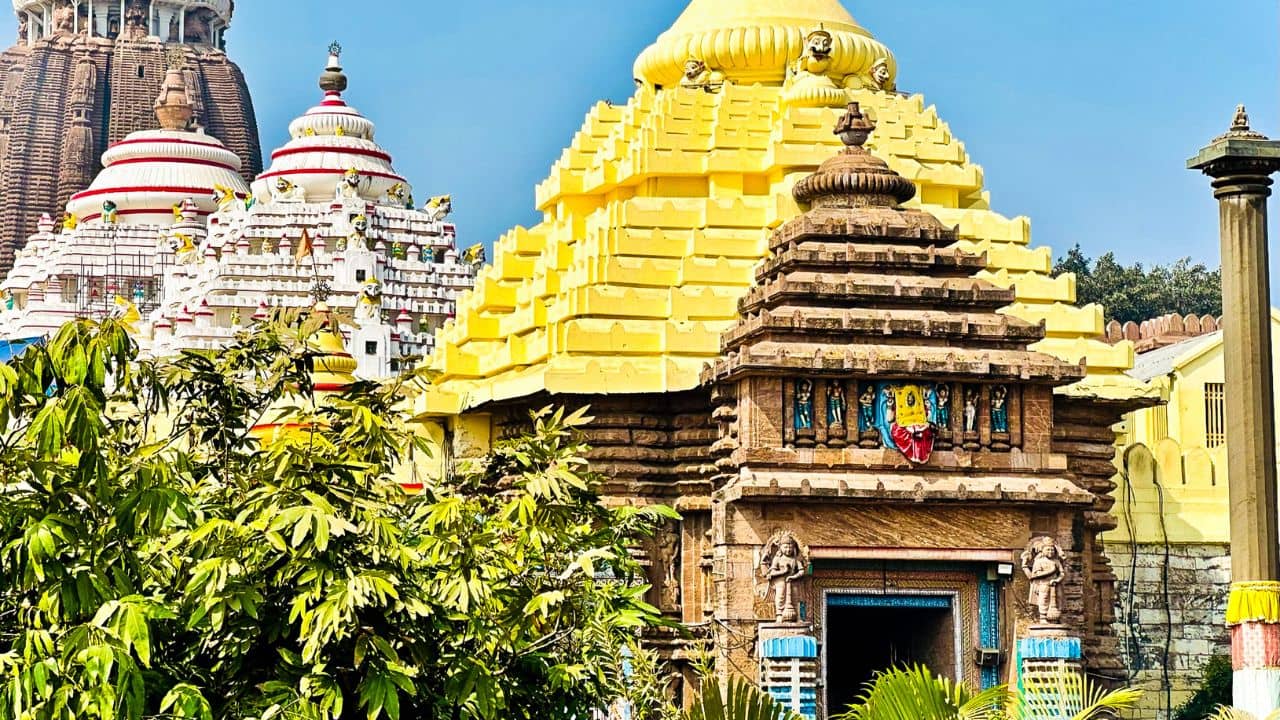 Rath Yatra in Puri: হদিশ মিলছে না জগন্নাথ দেবের ওষুধের! রথযাত্রার আগেই কি বড় অঘটন?