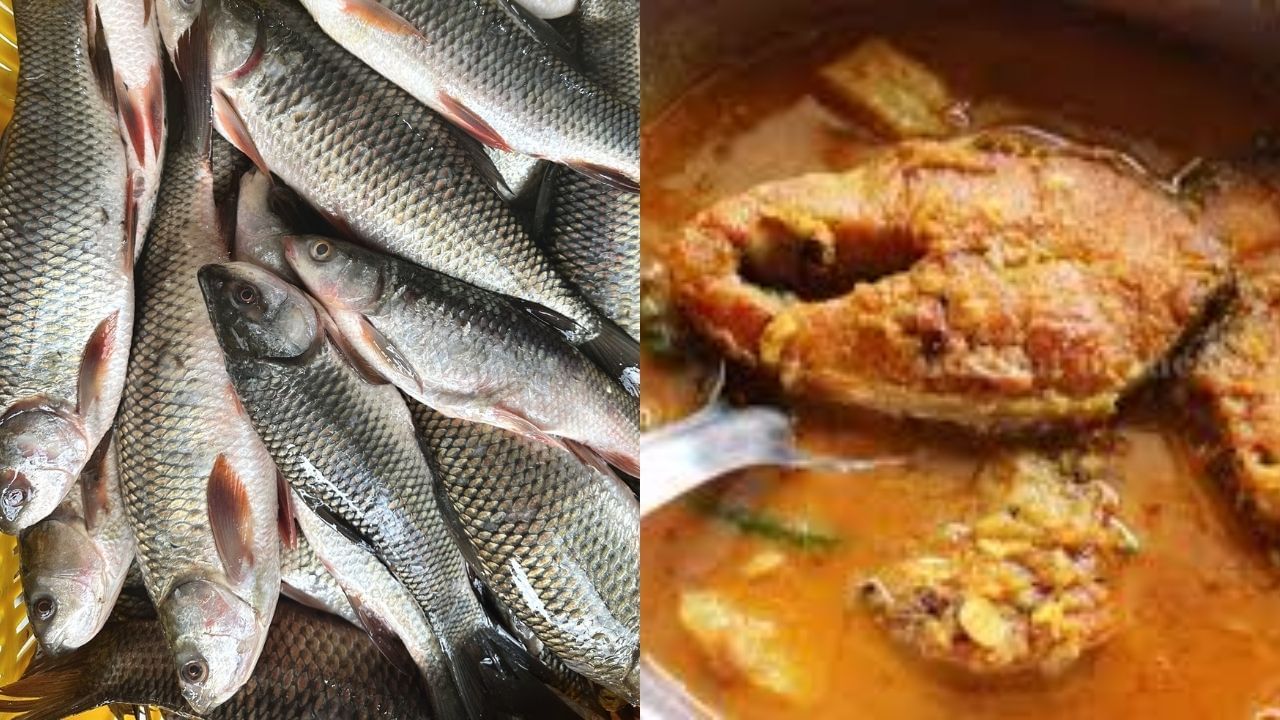 Fish: রুই মাছ খেলেই ঘনিয়ে আসছে মৃত্যু! কারণ শুনলে আজই খাওয়া বন্ধ করবেন Fish: রুই মাছ খেলেই ঘনিয়ে আসছে মৃত্যু! কারণ শুনলে আজই খাওয়া বন্ধ করবেন