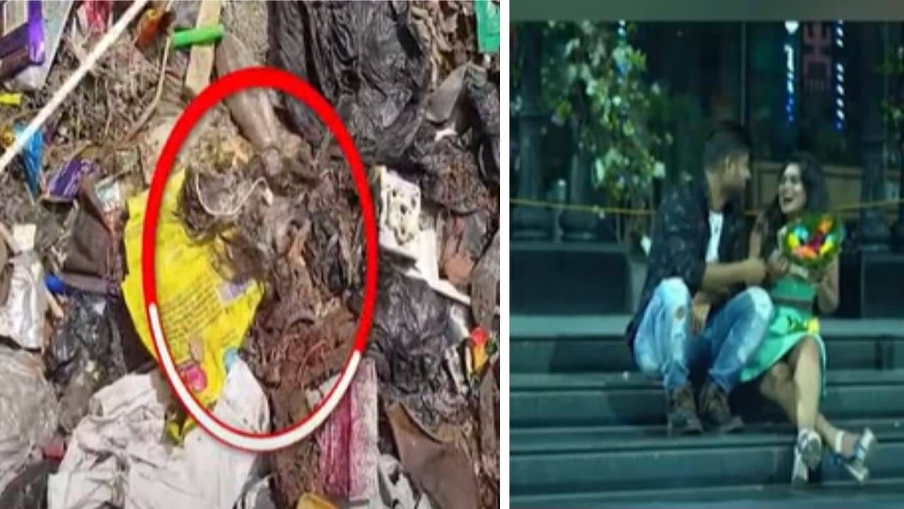 Shweta Khan: শ্বেতার ফ্ল্যাটের পিছনে চুল উদ্ধার, তা পানিহাটির নির্যাতিতার কিনা দেখতে পাঠানো হচ্ছে পরীক্ষায়