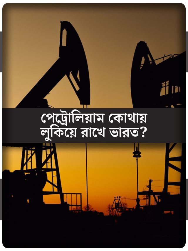 আমদানি না করলেও চলবে ৭৪ দিন! কোন গোপন গুহায় লুকানো রয়েছে ভারতের প্রয়োজনীয় তেল? আমদানি না করলেও চলবে ৭৪ দিন! কোন গোপন গুহায় লুকানো রয়েছে ভারতের প্রয়োজনীয় তেল?