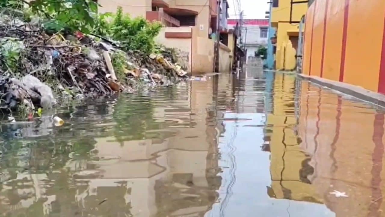 Medinipur: মুখে রেখেছিলেন কই, মাছ ধরতে গিয়ে করুণ পরিণতি