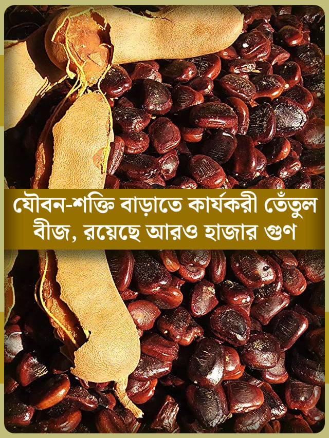 তেঁতুলের বীজ ভুলেও ফেলবেন না, জানুন এর ‘গোপন’ উপকারিতা তেঁতুলের বীজ ভুলেও ফেলবেন না, জানুন এর ‘গোপন’ উপকারিতা