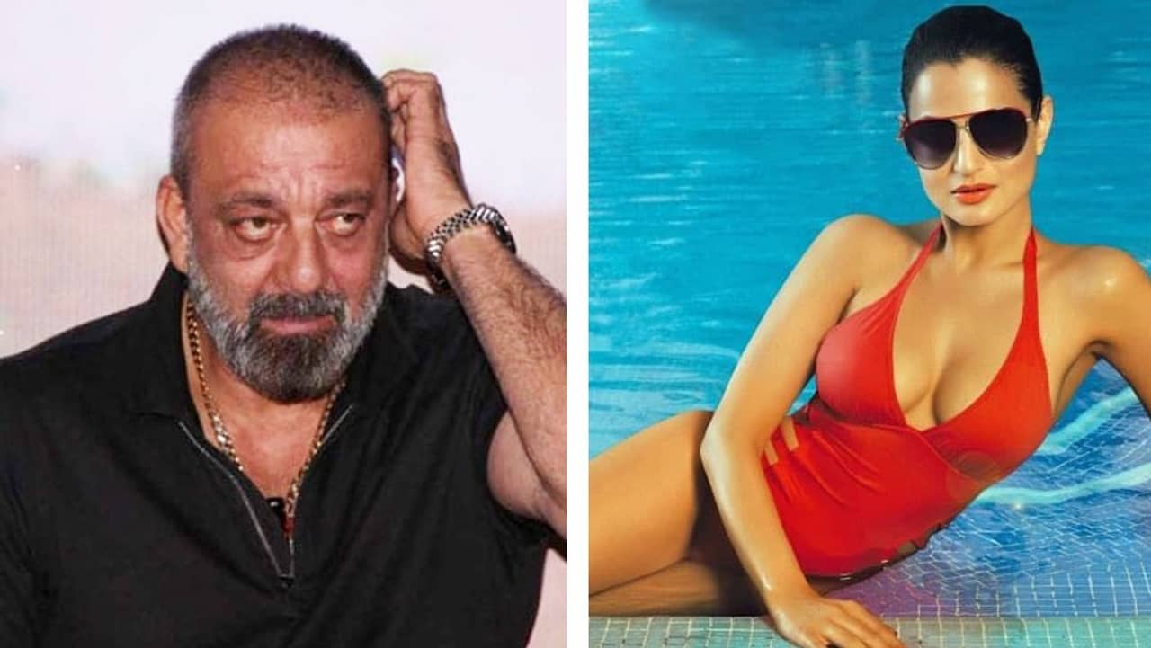 সঞ্জয়ের রোষেই কি কেরিয়ার শেষ আমিশার? কী এমন ভুল করেছিলেন