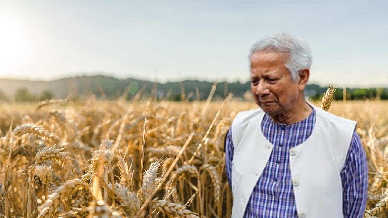 Bangladesh: শেষে কি না গম চোর বাংলাদেশ! ফুঁসে উঠল ইউক্রেন, মান-সম্মান টুকুও রইল না ইউনূস জমানায়