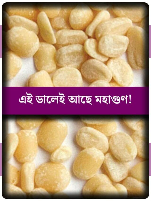 রোজ এক কাপ এই ডাল খান! ফারাকটা বুঝবেন ঠিক ৩০ দিনের মাথায় রোজ এক কাপ এই ডাল খান! ফারাকটা বুঝবেন ঠিক ৩০ দিনের মাথায়