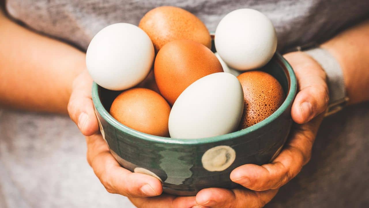 বেশি ডিম খেলেই হার্ট অ্যাটাক? নতুন গবেষণায় এল চমকে দেওয়ার মতো তথ্য