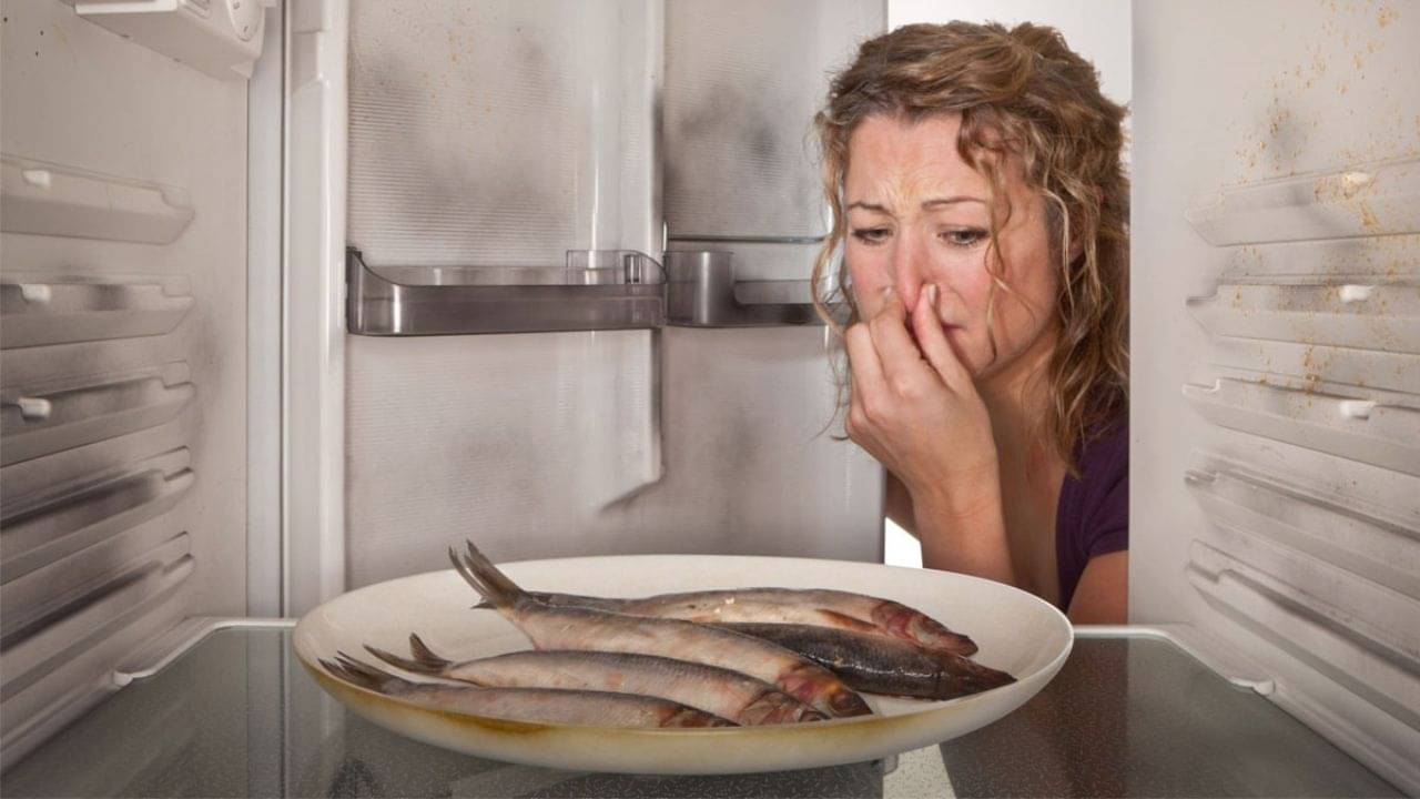 Fishy Smell: মাছ খেতে গেলেই আঁশটে গন্ধ লাগে? কী ভাবে খেলে দূর হবে সেই সমস্যা?