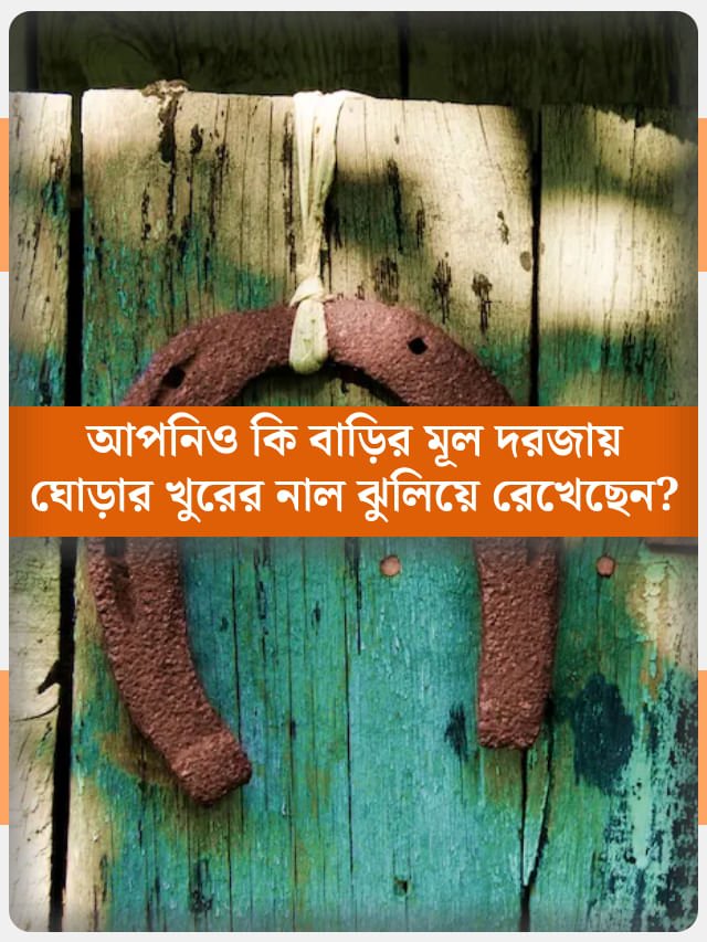 ভাগ্য ঘোরাতে ঘোড়ার খুরের নালের জুড়ি মেলা ভার! কীভাবে কাজে লাগাবেন? ভাগ্য ঘোরাতে ঘোড়ার খুরের নালের জুড়ি মেলা ভার! কীভাবে কাজে লাগাবেন?
