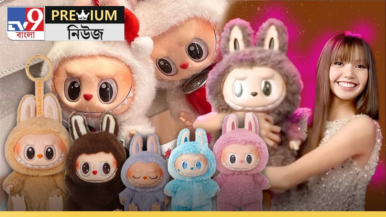 Explained: রহস্য, ভয়, ভালবাসা... কী এমন আছে Labubu পুতুলে?