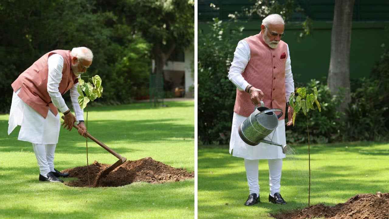 PM Modi: সন্ত্রাসদমনের পথে নয়া সূচনা! নিজের বাসভবনে সিঁদুরের চারা পুঁতলেন মোদী