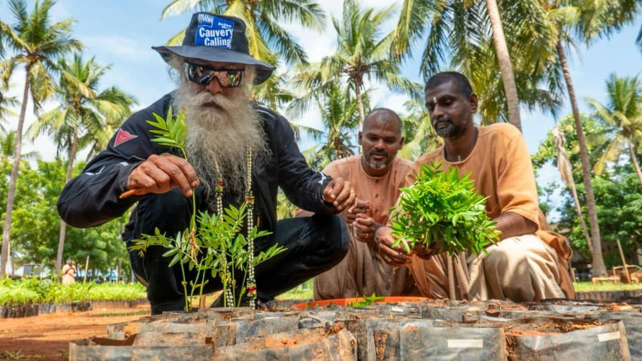 Sadhguru Planted Sapling: এক বছরে ১ কোটির অধিক চারা রোপণ! নজির গড়লেন সদগুরু