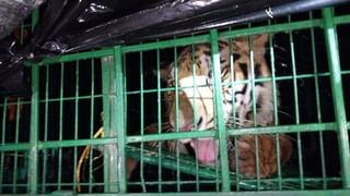 Sonarpur: বাবার মৃত্যুতে পৈত্রিক ভিটেয় যান, বাড়ি ফিরতে নিঃস্ব শিক্ষক, ৩ দিনে ঘটল অনর্থ