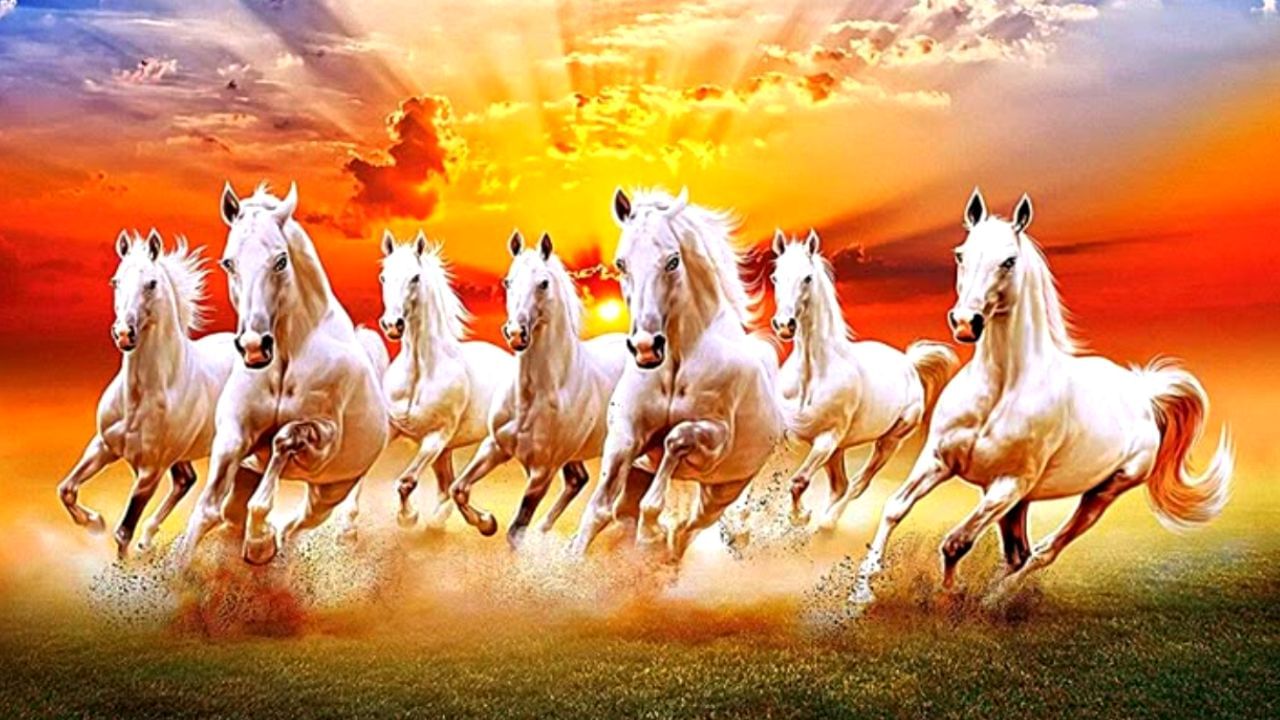 7 Horse Picture: বাড়িতে আনুন শুধু সাতটি সাদা ঘোড়ার ছবি, ঘুরে যাবে থমকে যাওয়া ভাগ্যের চাকা 7 Horse Picture: বাড়িতে আনুন শুধু সাতটি সাদা ঘোড়ার ছবি, ঘুরে যাবে থমকে যাওয়া ভাগ্যের চাকা