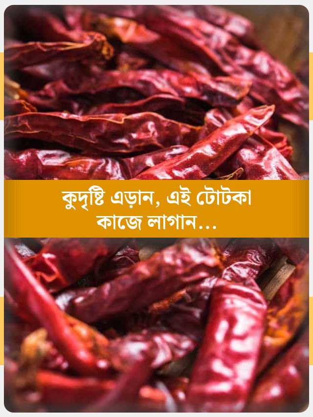 শুধু শুকনো লাল লঙ্কাতে কাজ হবে না, কুনজর এড়াতে আগুনে দিন সঙ্গে এই জিনিস শুধু শুকনো লাল লঙ্কাতে কাজ হবে না, কুনজর এড়াতে আগুনে দিন সঙ্গে এই জিনিস