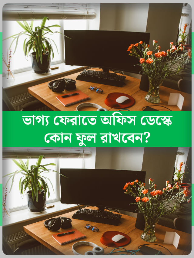 অফিসের ডেস্কে ফুল রাখতে গিয়ে করবেন না এই ভুল... অফিসের ডেস্কে ফুল রাখতে গিয়ে করবেন না এই ভুল...