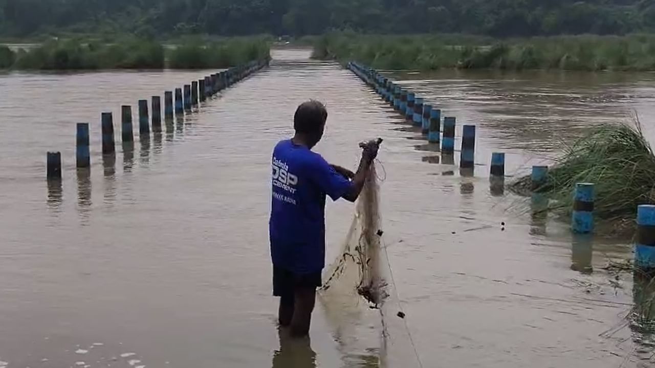Flood Situation: ফুঁসছে দারকেশ্বর থেকে কংসাবতী, গর্জন থামছে না গন্ধেশ্বরী, শিলাবতীর! প্লাবনের সিঁদুরে মেঘ পশ্চিমের আকাশে, ডুবল সেতু Flood Situation: ফুঁসছে দারকেশ্বর থেকে কংসাবতী, গর্জন থামছে না গন্ধেশ্বরী, শিলাবতীর! প্লাবনের সিঁদুরে মেঘ পশ্চিমের আকাশে, ডুবল সেতু