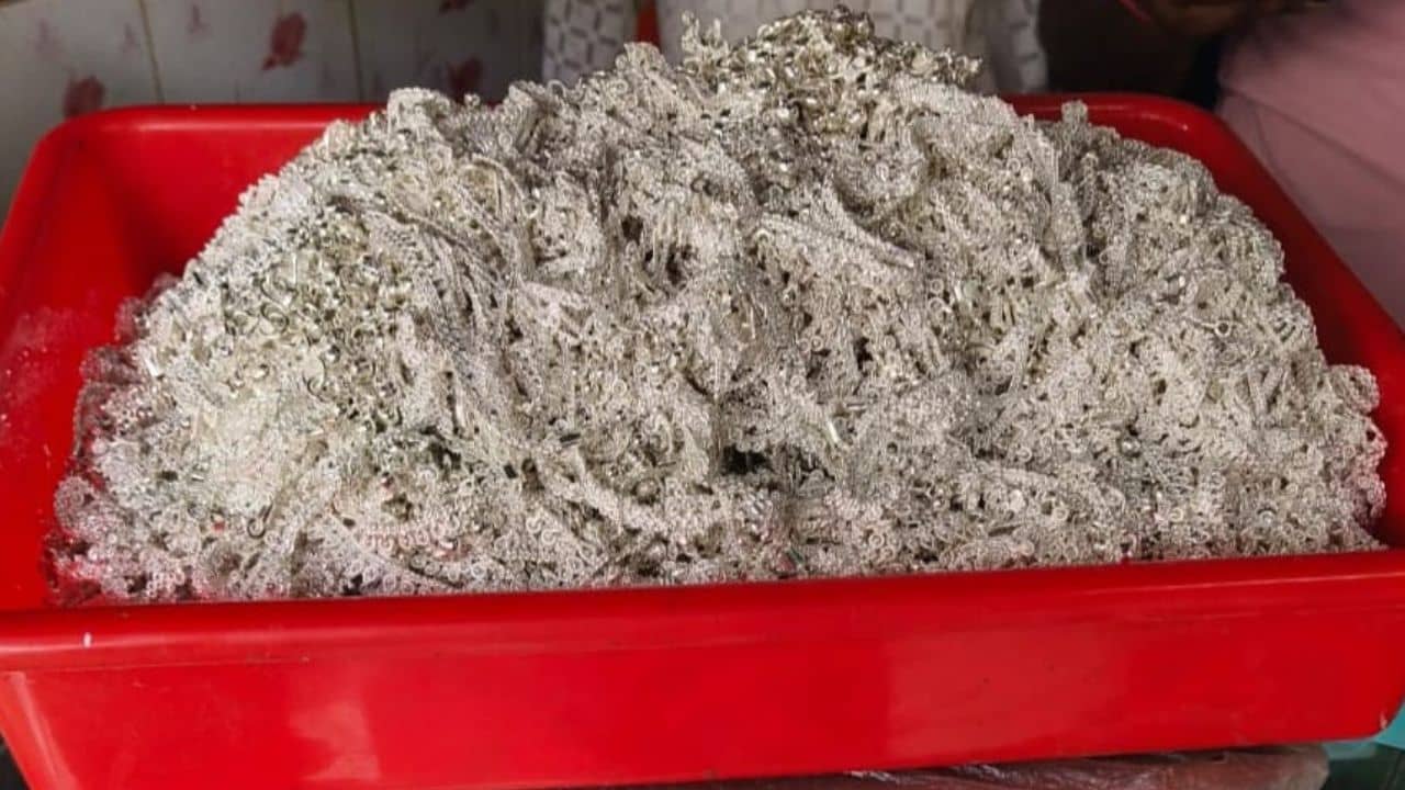 Silver Smuggling: ৫ হাজার টাকার জন্য ট্রাইসাইকেলে এতগুলো রূপো পাচার করছিল, হাতেনাতে ধরল BSF