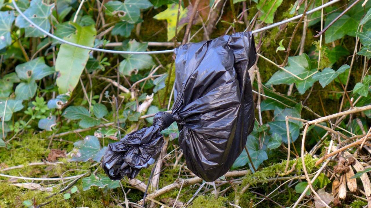 BSF News Update: এই কালো প্যাকেটেই লুকিয়েছিল সবটা, বাঁধন খুলেই চোখ কপালে BSF-এর