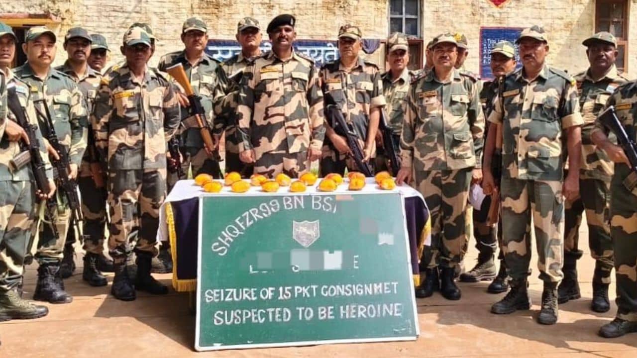 BSF: চাষের জমিতে এসব হতে পারে? সীমান্তে টহল দিতে গিয়ে চোখ কপালে BSF-এর