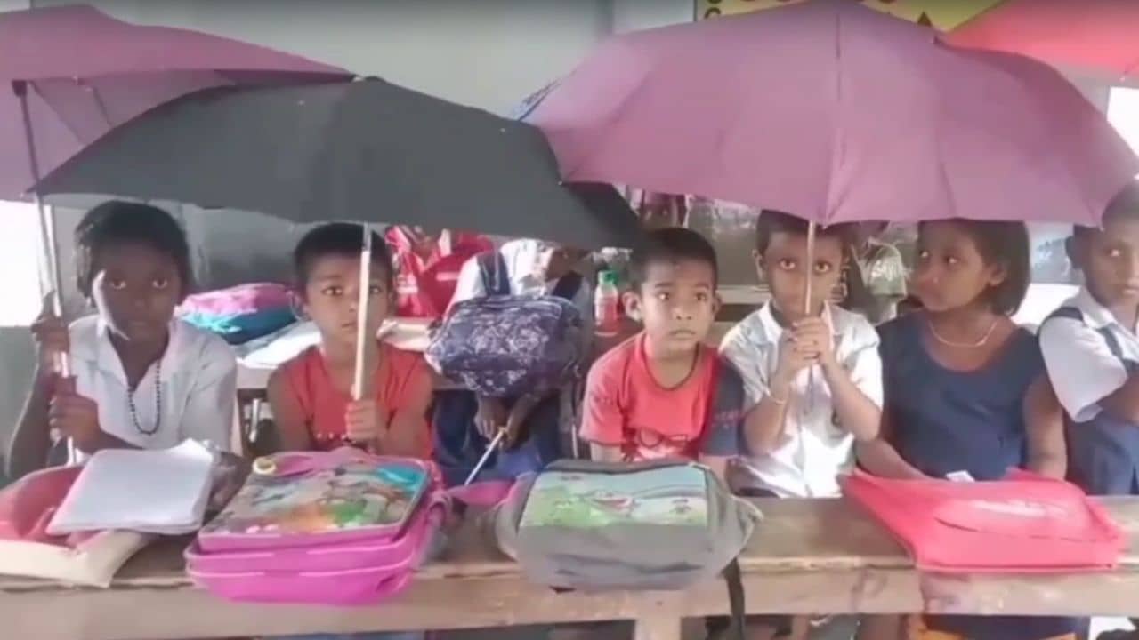 Hingalganj: ছাতা-ই স্কুলের ছাদ, এভাবেও পড়াশোনা হয় বাংলার স্কুলে!