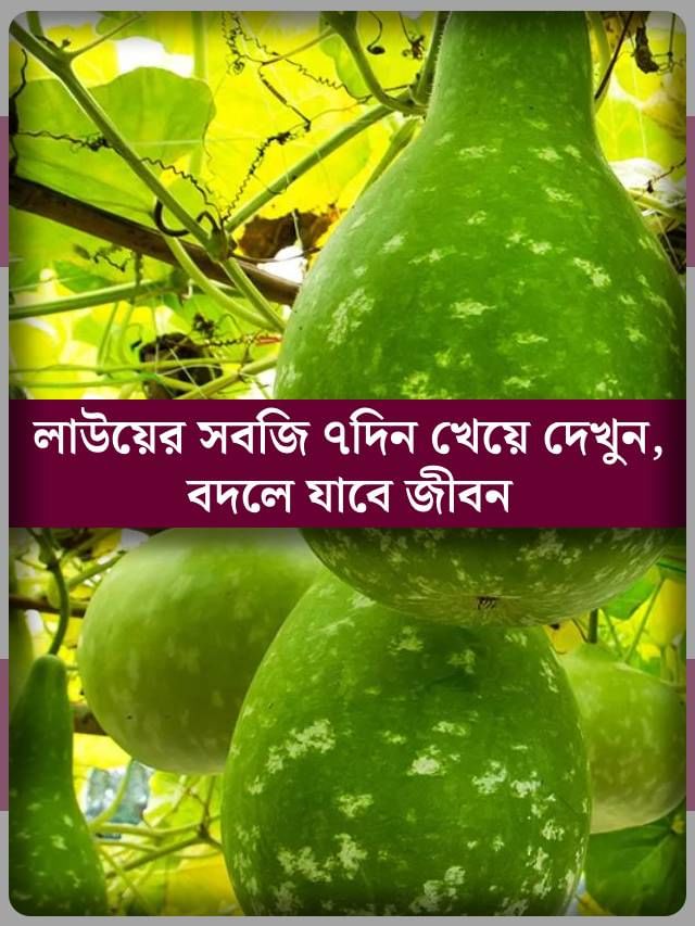 ৭ দিন টানা লাউয়ের সবজি খেয়ে দেখুন, আমূল বদলে যাবে জীবন! জানেন কী কী হবে?