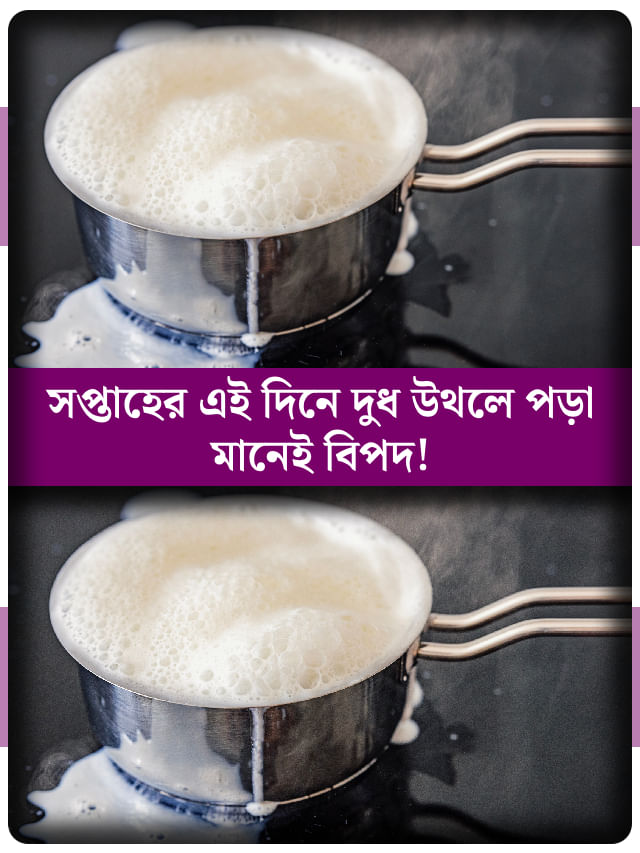 সপ্তাহের কোন দিন দুধ উথলে যাওয়া অশুভ জানেন? সপ্তাহের কোন দিন দুধ উথলে যাওয়া অশুভ জানেন?