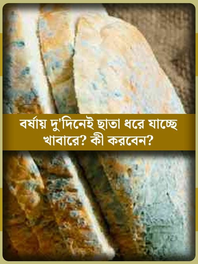 বর্ষায় ২ দিনেই ছাতা ধরে যাচ্ছে বিস্কুট-কেকে? কীভাবে তা দীর্ঘদিন ভাল রাখবেন? বর্ষায় ২ দিনেই ছাতা ধরে যাচ্ছে বিস্কুট-কেকে? কীভাবে তা দীর্ঘদিন ভাল রাখবেন?