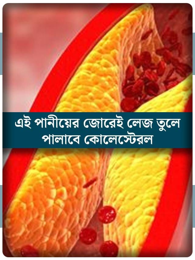 এই ৪ পানীয়ের যে কোনও একটি পান করে দেখুন! লেজ তুলে পালাবে কোলেস্টেরল