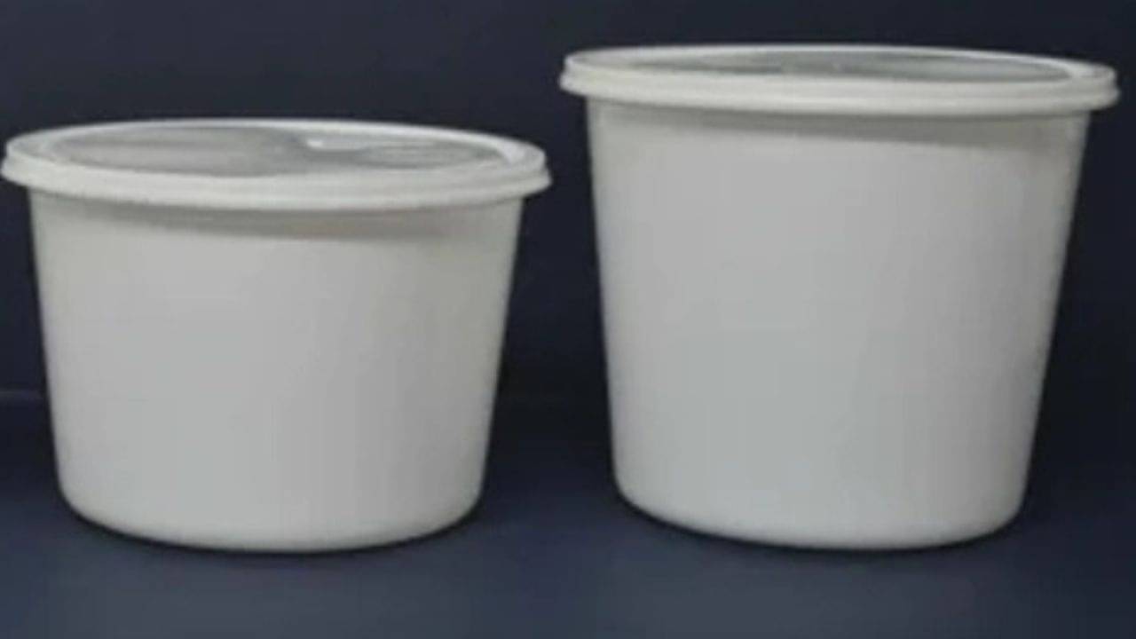 রেস্তোরাঁ থেকে খাবার আসা সাদা কন্টেনারই ধুয়ে ব্যবহার করছেন? কী হয় জানেন?