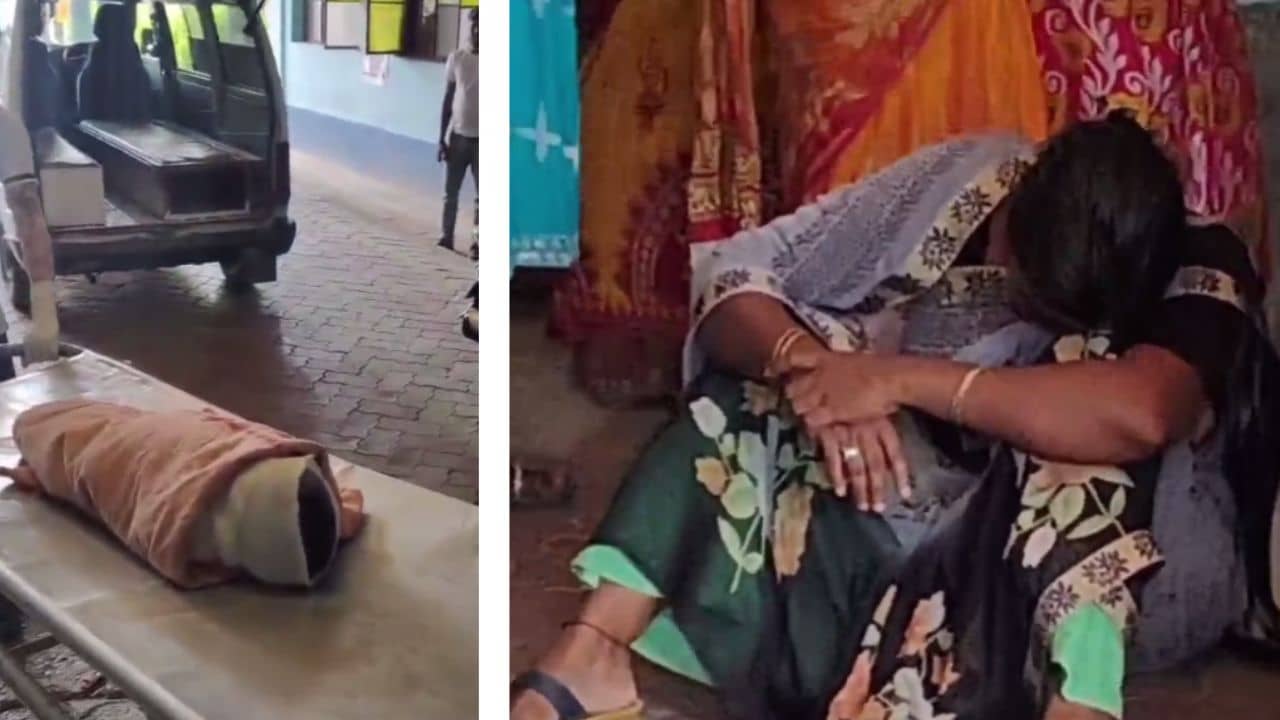 Dhupguri: পাঁচ বছরের শিশুর শরীরে পরপর ঢোকাল ৯টি ইঞ্জেকশন, খানিক বাদেই মর্মান্তিক পরিণতি