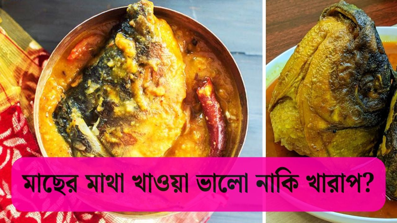 Fish Head Nutrition: আপনি কি মাছের মাথা খেতে ভালোবাসেন? এটি খাওয়া আদৌ কি ভালো? Fish Head Nutrition: আপনি কি মাছের মাথা খেতে ভালোবাসেন? এটি খাওয়া আদৌ কি ভালো?