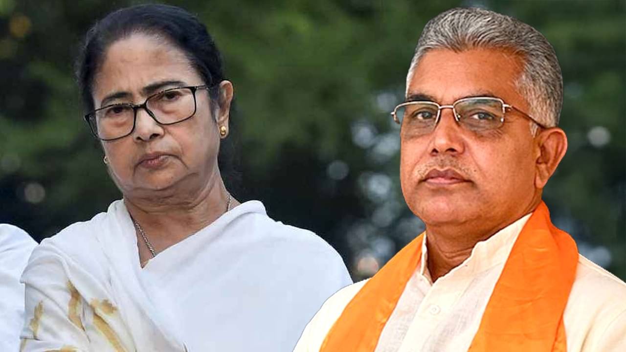Dilip Ghosh: মমতার পোস্টে ‘রিপ্লাই’ দিলীপের, কীসের ইঙ্গিত দিলেন রাজ্য বিজেপির প্রাক্তন সভাপতি?