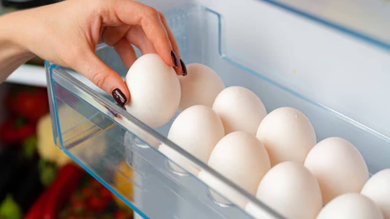 ফ্রিজ ভর্তি ডিম! নতুন কিছু রাঁধতে চান? দশ মিনিটেই এই সহজ রান্না শেষ