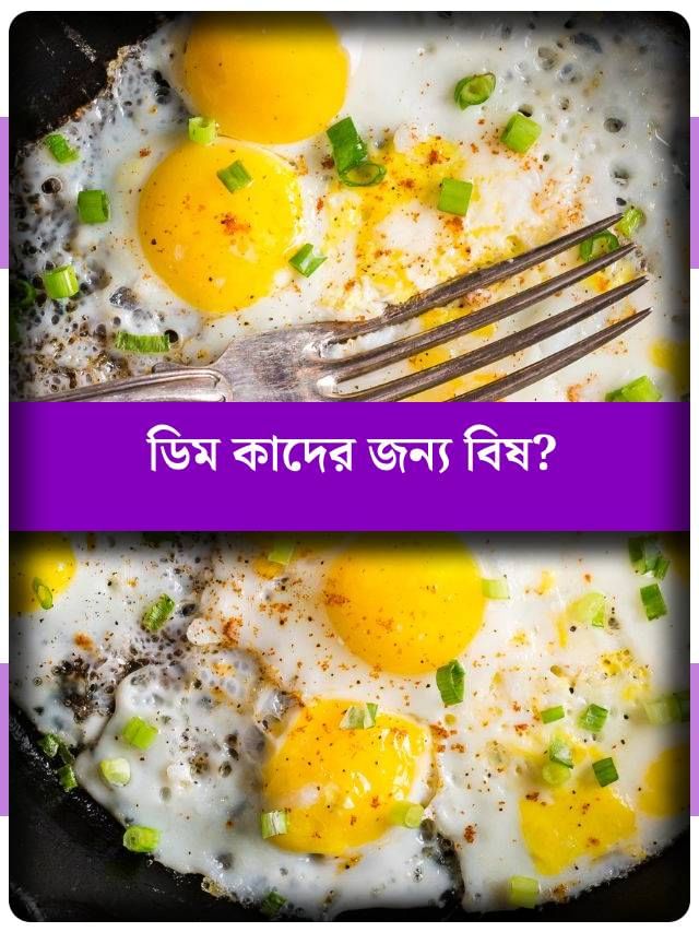 সাবধান! ডিম সুপারফুড হলেও এঁদের জন্য কিন্তু বিষ সাবধান! ডিম সুপারফুড হলেও এঁদের জন্য কিন্তু বিষ