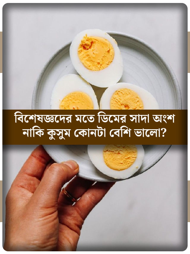 ডিমের কুসুম নাকি সাদা অংশ, কোনটা খেলে বেশি পুষ্টি মেলে? ডিমের কুসুম নাকি সাদা অংশ, কোনটা খেলে বেশি পুষ্টি মেলে?