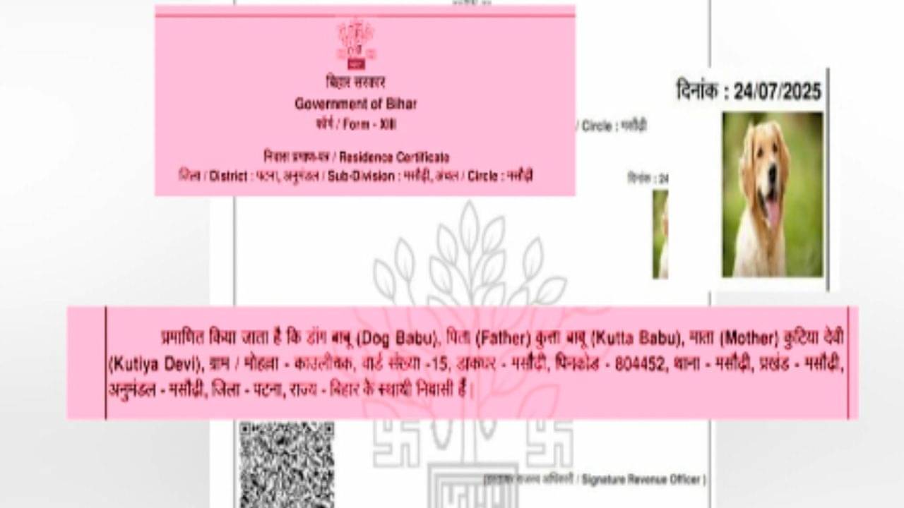 Election Commission: নাম ডগবাবু, বাবার নাম কুত্তাবাবু, এমন কোনও ভোটার কি সত্যিই আছে? নথি দেখাল কমিশন