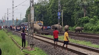 Elephant died: ‘ঘণ্টা দুয়েক আগেই রেলকে জানানো হয়েছিল’, ঝাড়গ্রামে ৩টি হাতি কাটা পড়তেই বললেন DFO