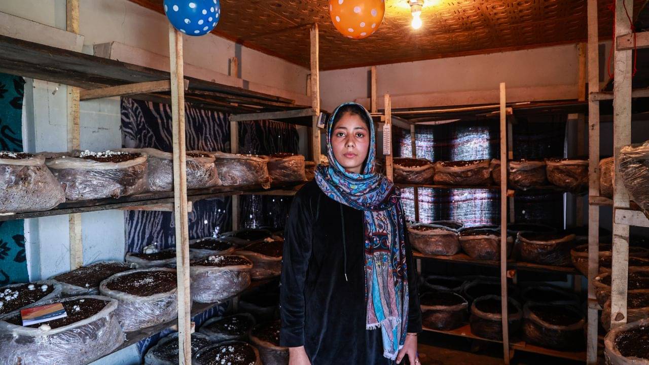 Woman Led Startups: ছোট শহরের মেয়েরাই এখন দেশজুড়ে জোগাচ্ছে কর্মসংস্থান