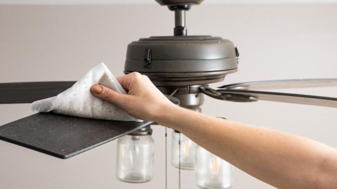 সিলিং ফ্যানের ময়লা ঝাড়তে গিয়ে নাজেহাল? এই ৫ উপায়েই সহজে হবে সাফ সিলিং ফ্যানের ময়লা ঝাড়তে গিয়ে নাজেহাল? এই ৫ উপায়েই সহজে হবে সাফ