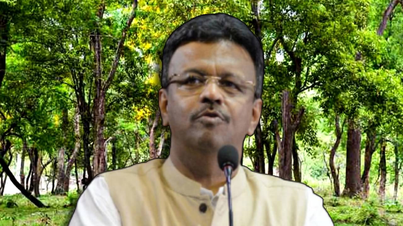 Kolkata Mayor Firhad Hakim: দ্রুত কলকাতার সব গাছের স্বাস্থ্য অডিট! আচমকা কেন এই নির্দেশ ফিরহাদের?